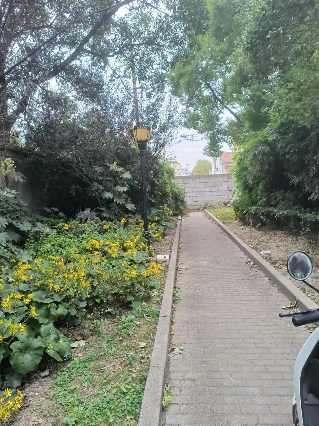 微信图片_20240701103447.jpg