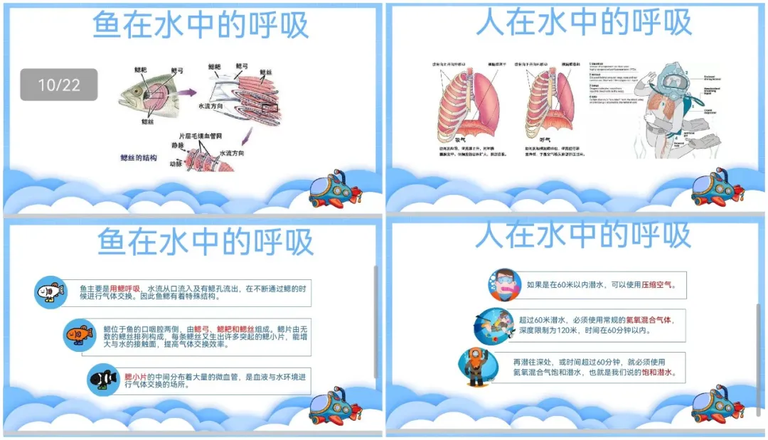 图片58.png