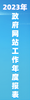 2023年政府网站工作年度报表