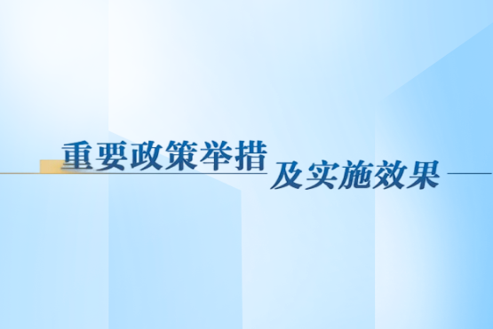 重要政策举措及实施效果