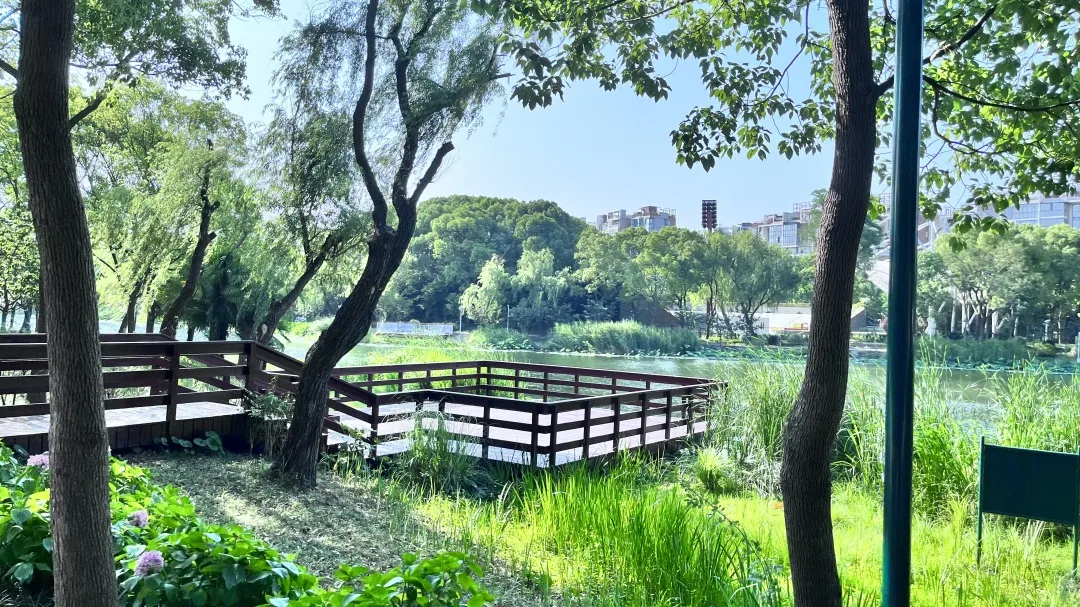 我区建成3条美丽幸福河湖 就在家门口