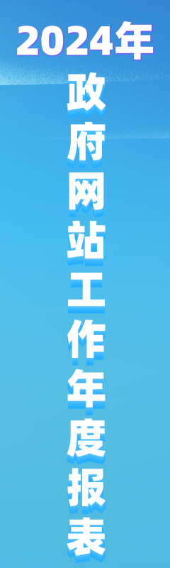 2024年政府网站工作年度报表
