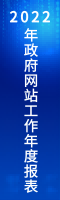 2022年政府网站工作年度报表