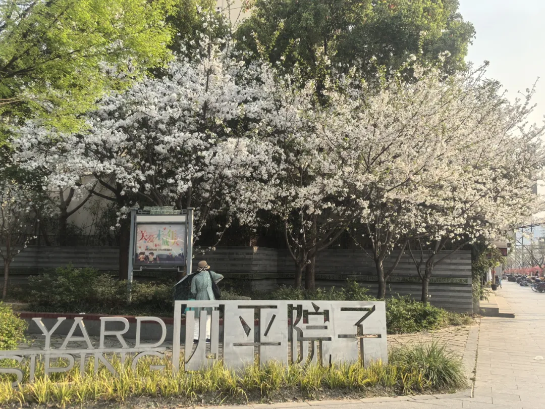 图片 8.png