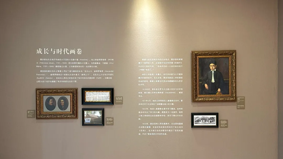 图片 6.png