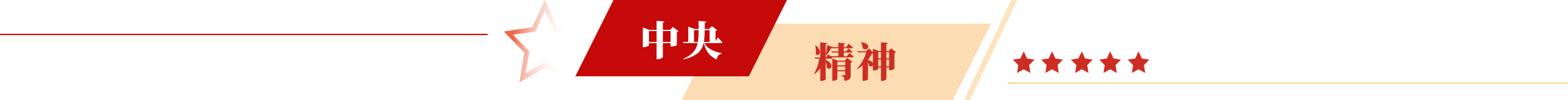 中央精神