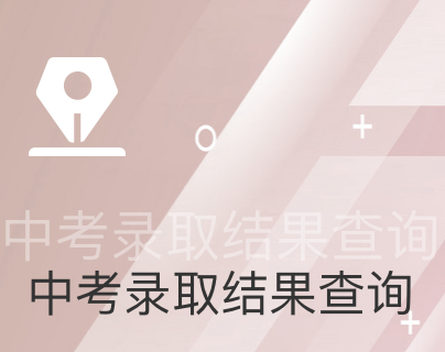 中考录取结果查询