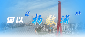 何以‘杨数浦’