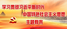 学习贯彻习近平新时代中国特色社会主义思想主题教育