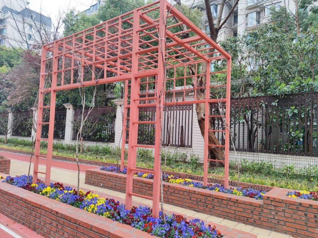 居民自治激发社区活力 废弃荒地变美丽花园