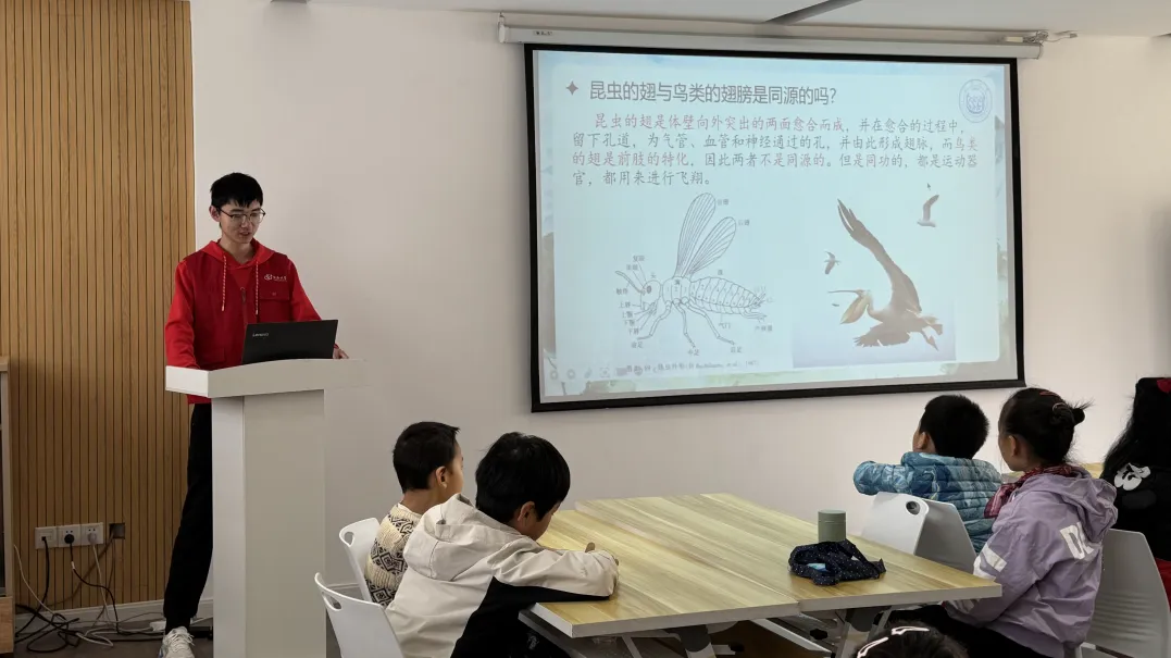 图片 3.png