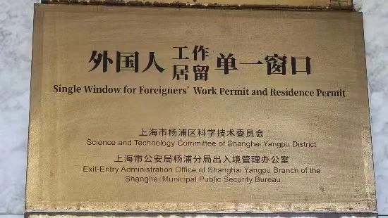 栽好惠企利民梧桐树，打造宜商宜业新热土丨网办“杨”声器⑥